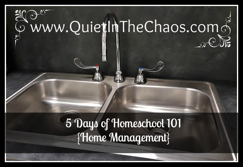 5 Days of Homeschool {home management}