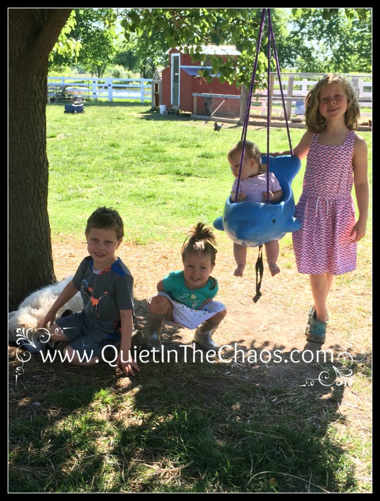 Wordless Wednesday 5-17-17