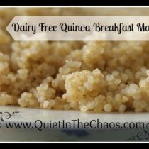 Easy Dairy Free Quinoa Breakfast Mash