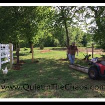 Preparing for Goats on the Farm
