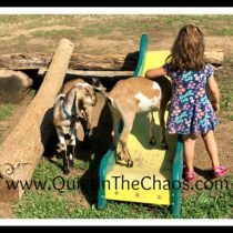 My Best Goat Helper