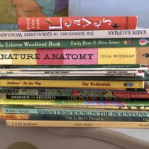 Our fall book stack 2018