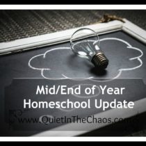 Mid/End of Year Homeschool Learning Update