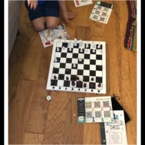 fun family chess, game set up