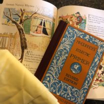 LitWits- Anne of Green gables- complete literary unit studies