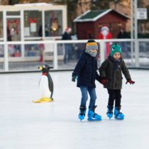 Activities for Kids