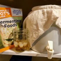 Easy DIY Kombucha at Home