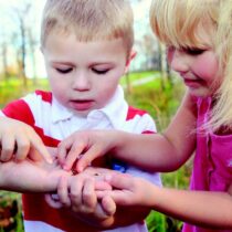 Nature Study In your Homeschool