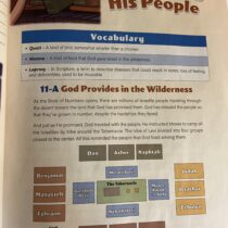 Possessing the Land Positive Action Bible Curriculum Elem.